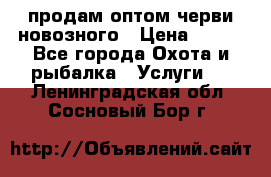 продам оптом черви новозного › Цена ­ 600 - Все города Охота и рыбалка » Услуги   . Ленинградская обл.,Сосновый Бор г.